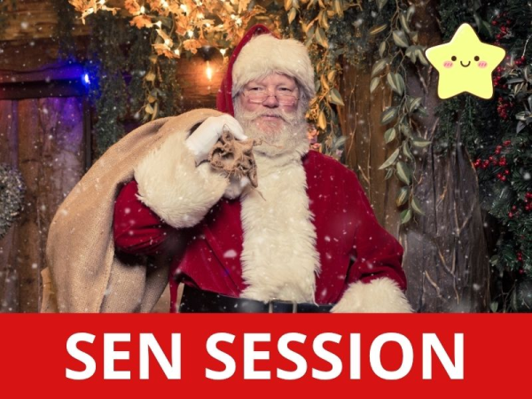 Santa's Enchanted Forest at Old Barn Garden Centre, Dial Post: SEN SESSION