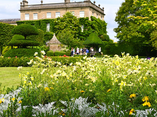 Perennials Experience 2026