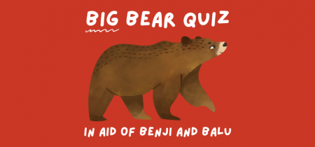 Big Bear Quiz