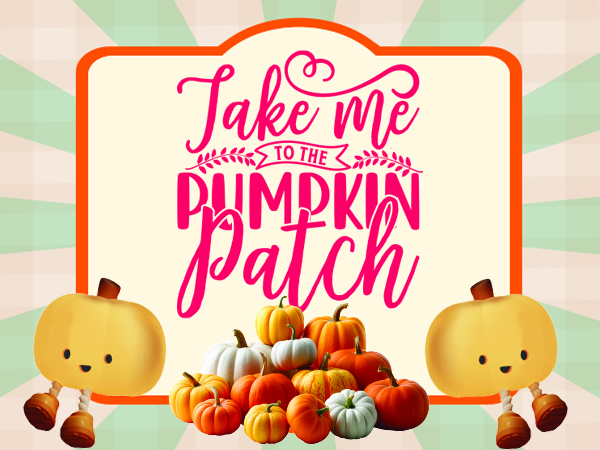 Pumpkin Patch 2025