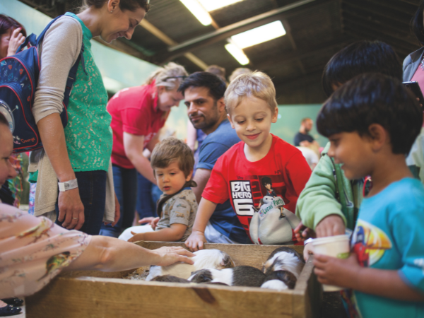Farm Fun Visit With A Guide - 2026/2027