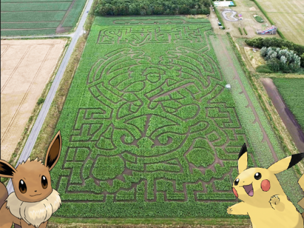 Summer Maze & Funyard
