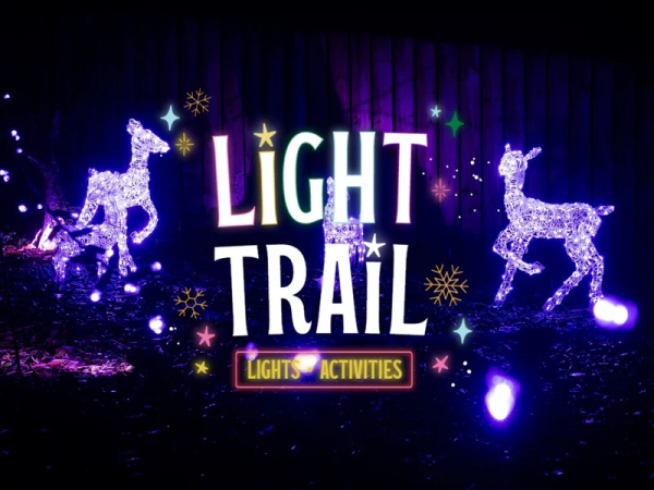The Light Trail (No Santa's Grotto Experience)