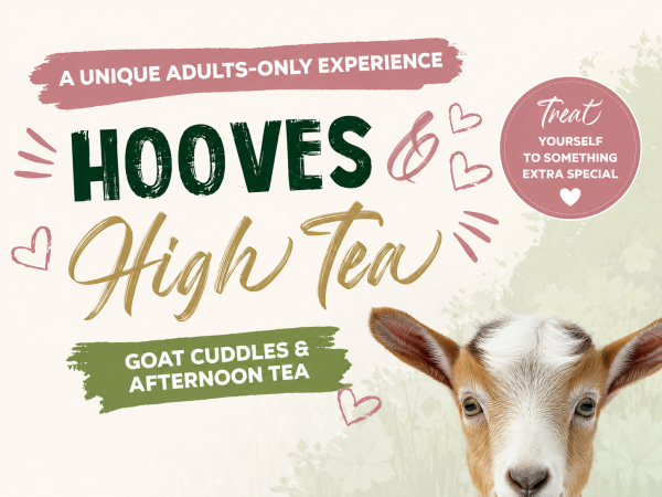 Hooves & High Tea