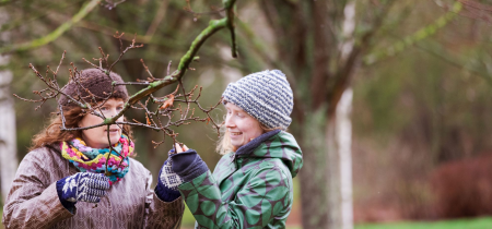 Walk & Talk: Buds, Bark & Berries