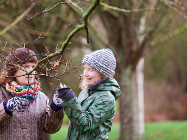Walk & Talk: Buds, Bark & Berries