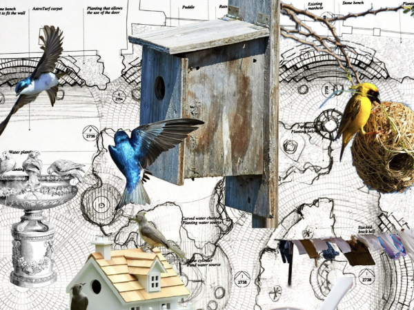 Workshop: Designing for Birds