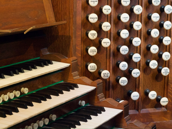 Organ Tours