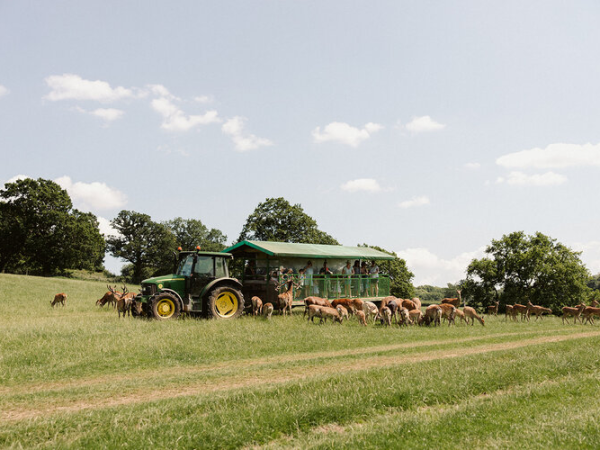 Bucklebury Farm Open Day 16.06.26