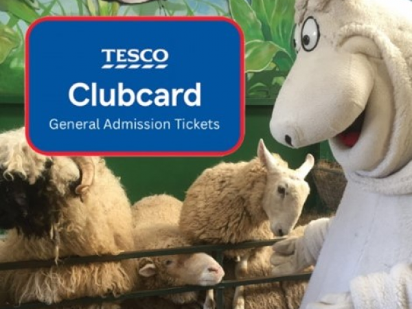 Term Time 1st - 29th September Tesco General Admission
