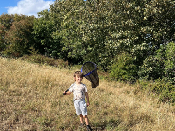 Netherclay Butterfly Safari