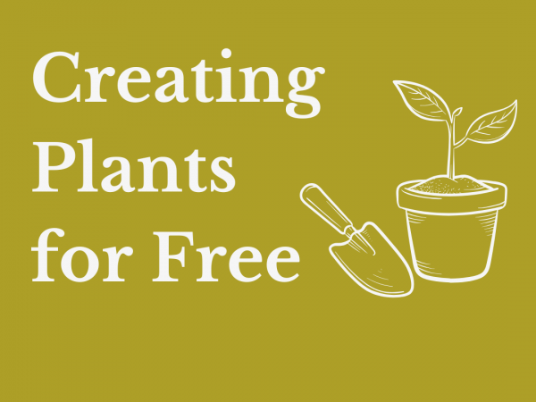 Creating Plants for Free