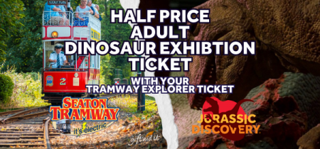 Adult Explorer & Half Price Jurassic Discovery Exhibition Ticket