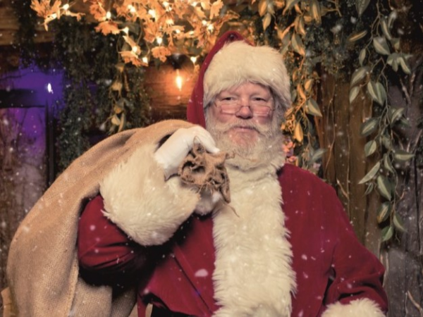Santa's Enchanted Forest at Old Barn Garden Centre, Dial Post