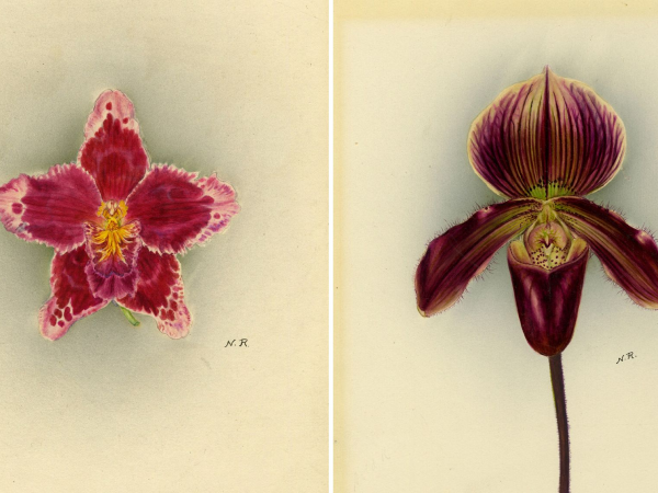 Nelly Roberts Walking Tour