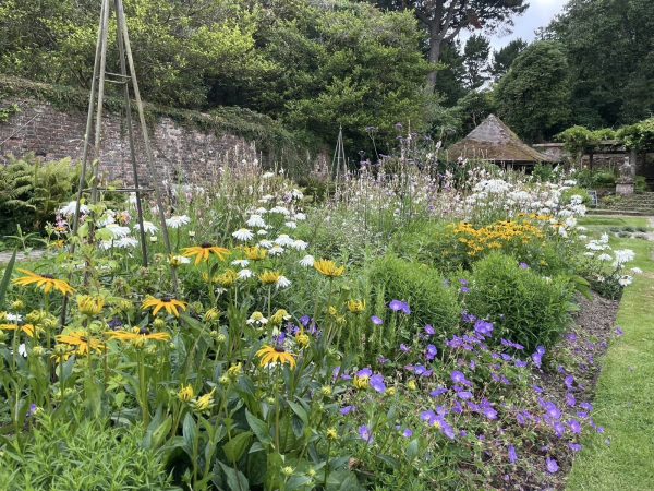 Within the garden walls: planting design workshop