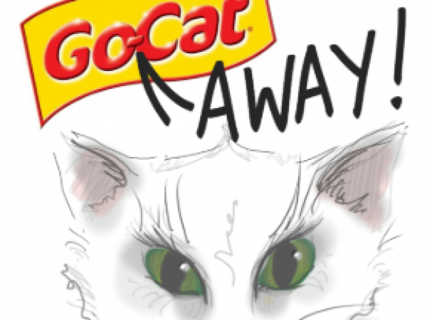 Go Away Cat, And Other Stories by Owdyado Theatre