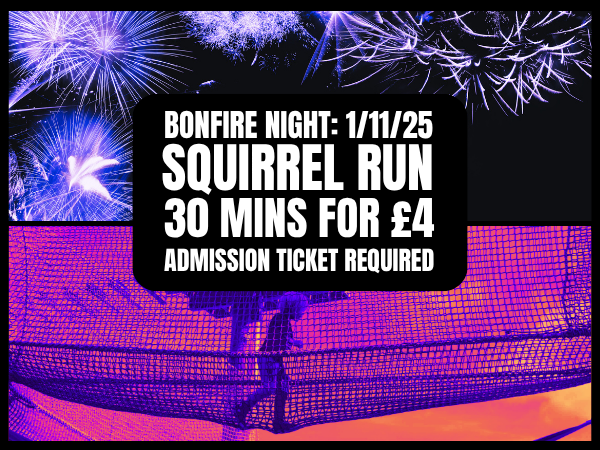 The Squirrel Run