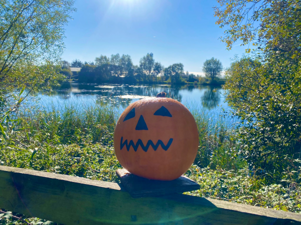 Pumpkin Week 2025