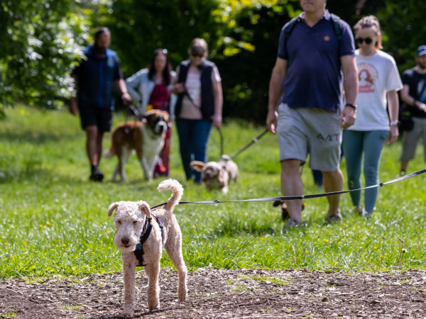Woof Walk: Floodplain Forest Nature Reserve 2026