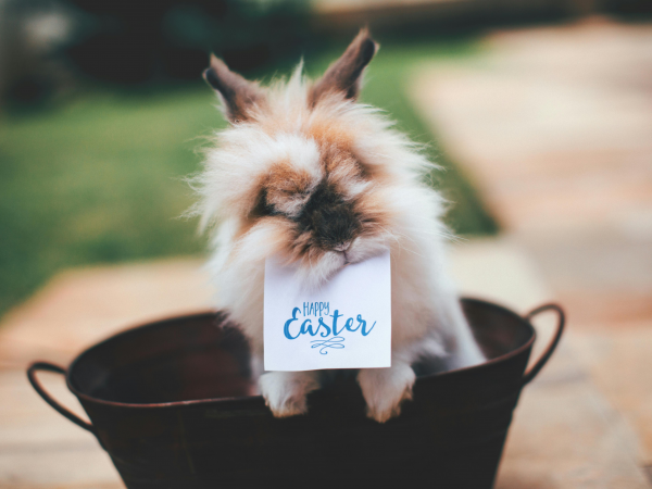 Clay Easter Bunnies @ The Great Tapestry of Scotland