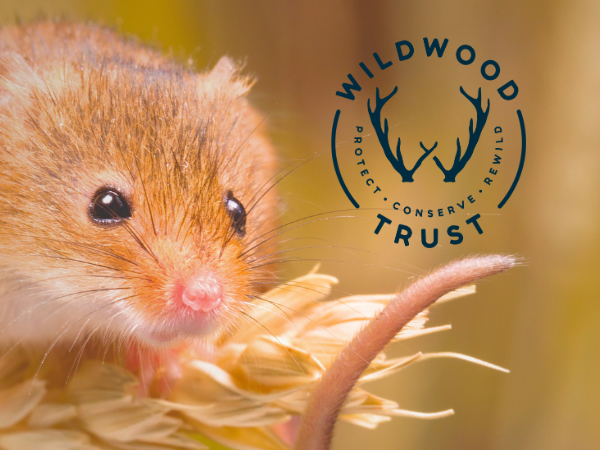 BIAZA Harvest Mouse Workshop