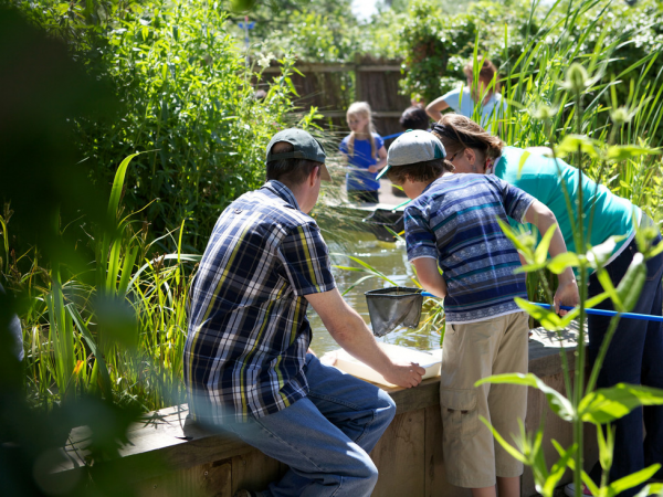 Spring SEND Days (Slimbridge)
