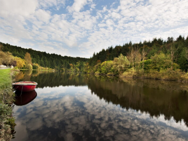 C Walk - Walk 8 - Do It The Barrow Way: St Mullins - Graiguenamanagh