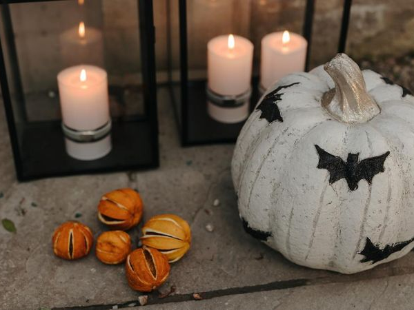 Pumpkin Painting Workshop