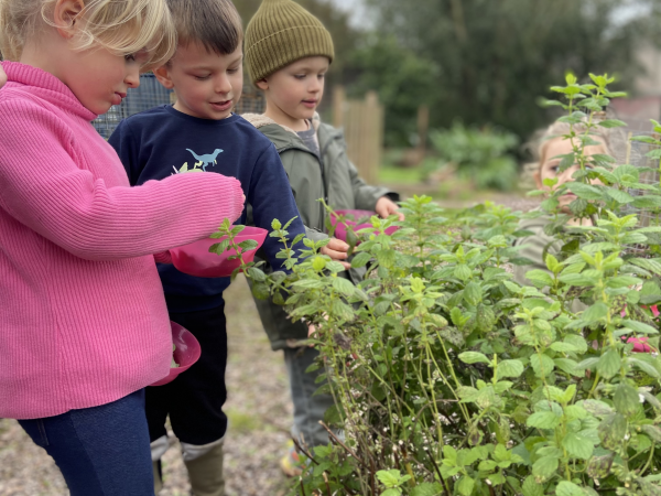 Occombe Sow and Grow Sessions