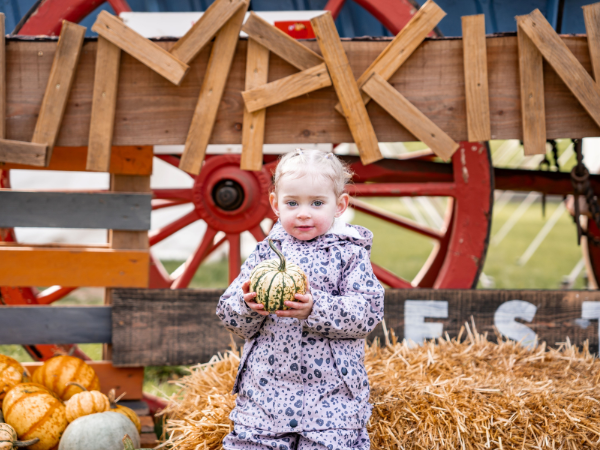 Toddler Pumpkin Festival
