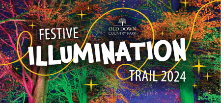 Festive Illuminations