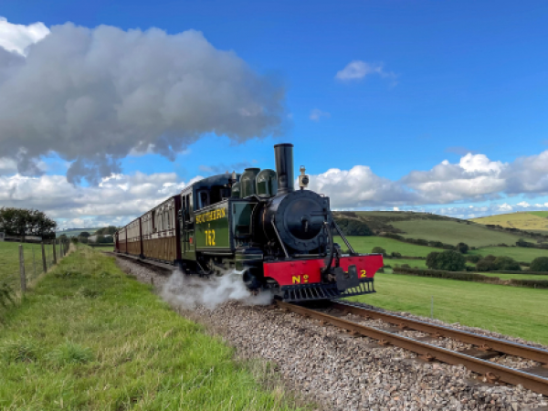 Autumn Gala - Saturday Entry
