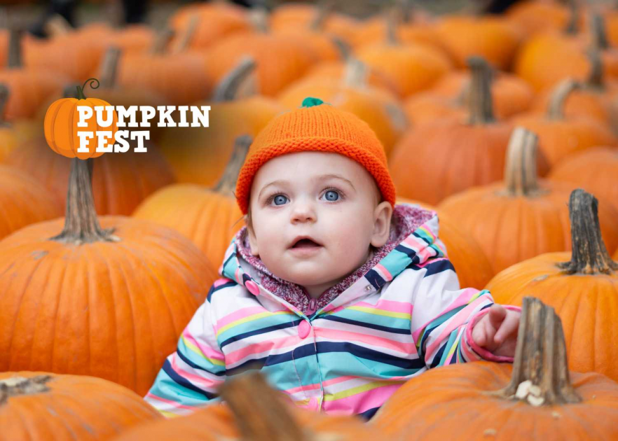 Buy 2024 PumpkinFest Tickets online Saunders Farm Inc.