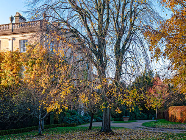 Autumn Walks 2025