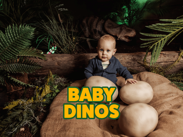 Baby Dinos
