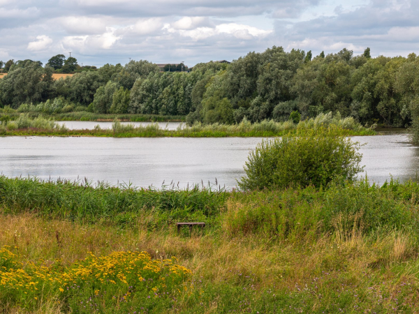 Walk & Talk: How to Spot an Otter