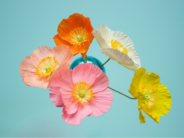 Olivia Joy Flowers: Paper Poppy Workshop
