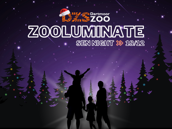 Zooluminate SEN Night