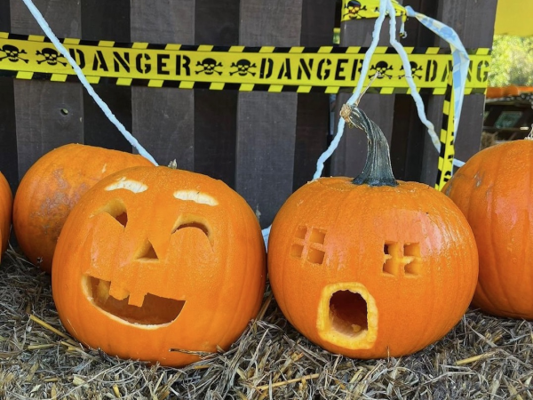 Halloween Disco