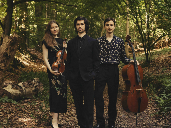 Three musicians standing in a forest.