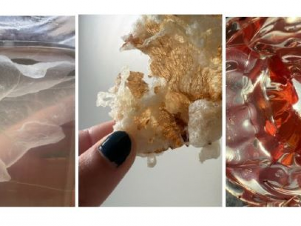 Branch Out | Conservation Practice