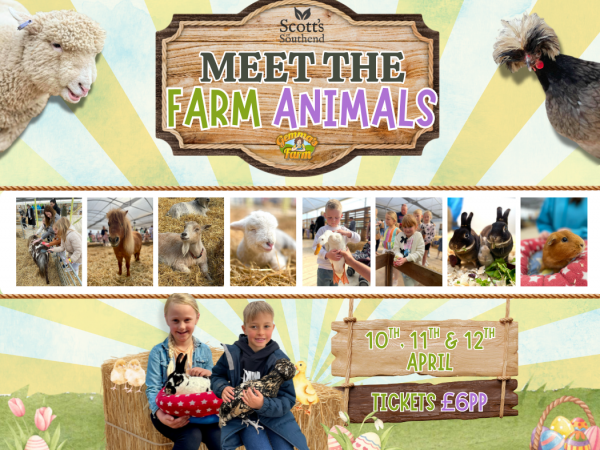 Meet The Farm Animals