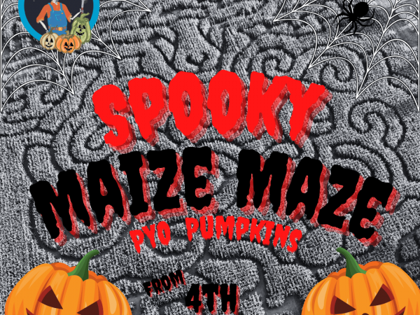 Spooky Mazie Maze