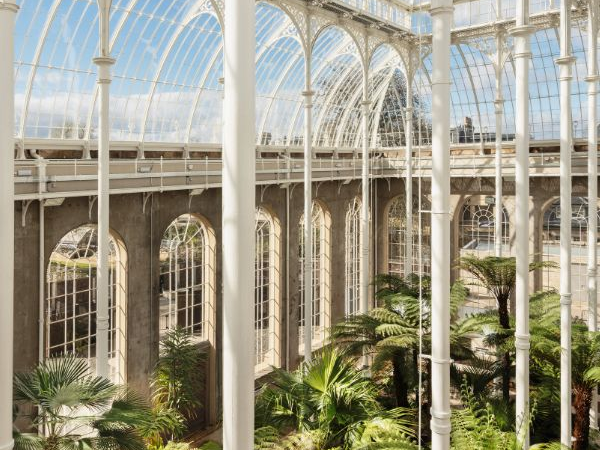 Palm House