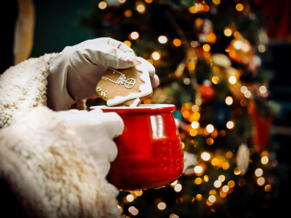 Breakfast with Santa Experience at Huntingdon