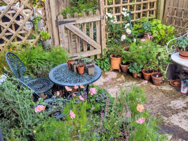 Spring Plant Fair 2026 | Gardens in Transit: Growing in Impermanent Spaces