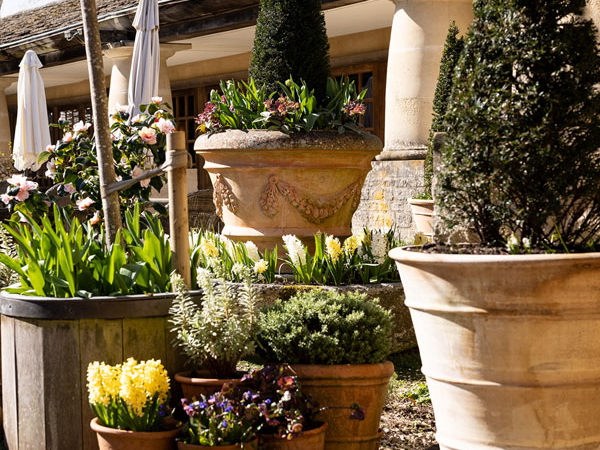 Potwork Experience 2026