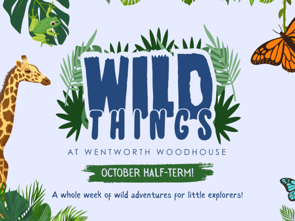 WILD THINGS: Into the Wild