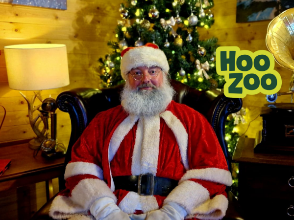Santa & Mrs Claus: Festive Fun